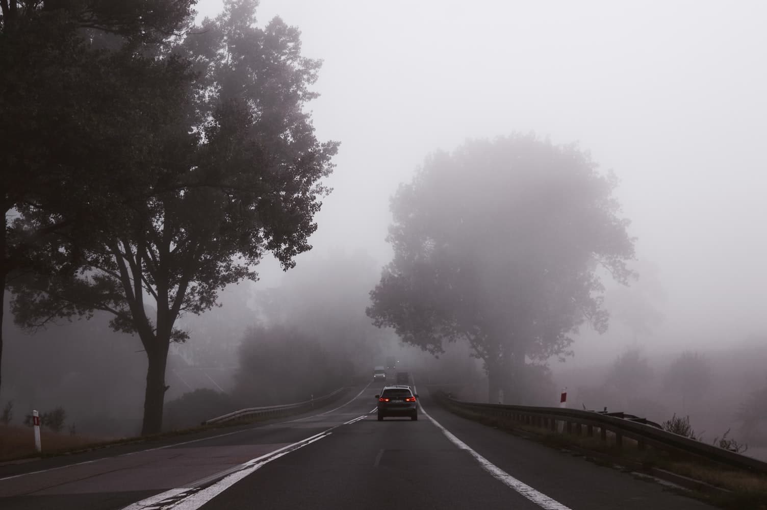 driving in fog