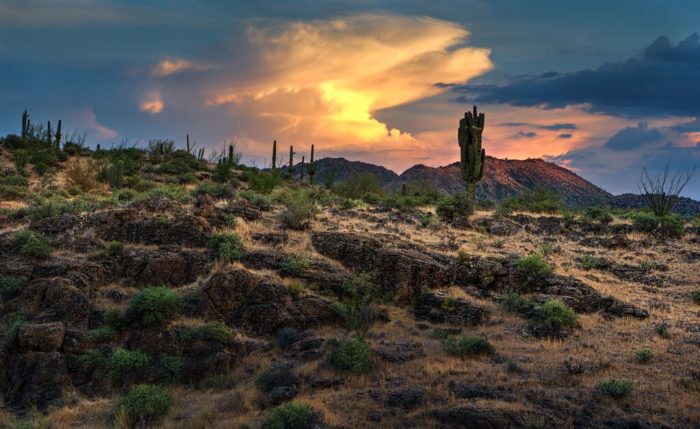 gilbert arizona southeast of AZ