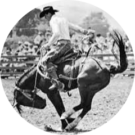 austin armstrong Avatar